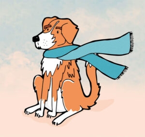 cyan-rose-design-dog-with-scarf