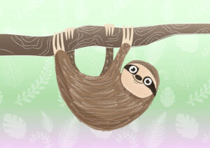 cyan-rose-designs-sloth